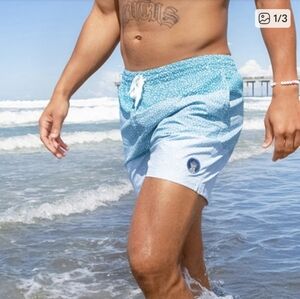 Chubbies Swim Trunks The Whale Shark 5.5 Inch